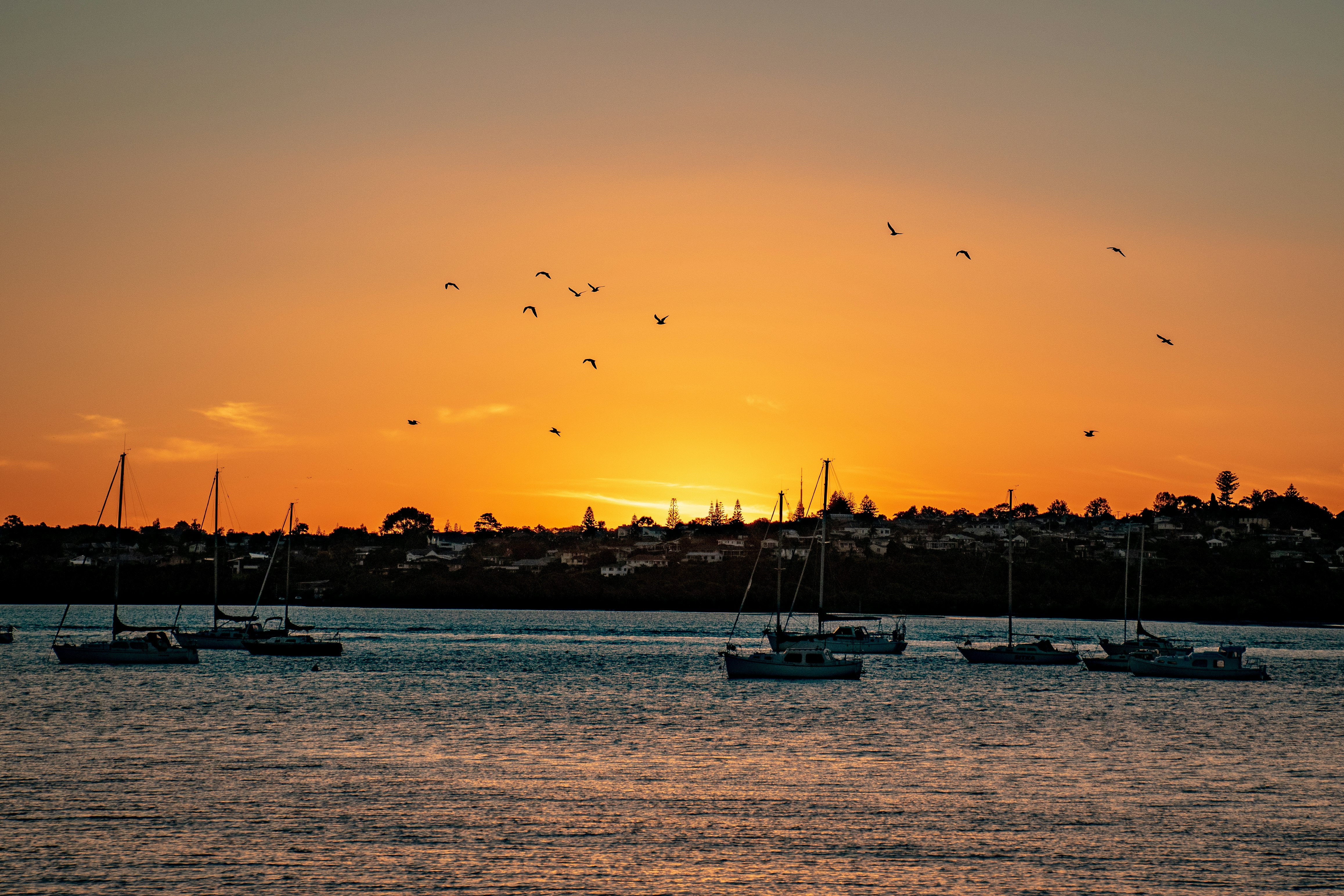 silhouette of boats on sea during sunset